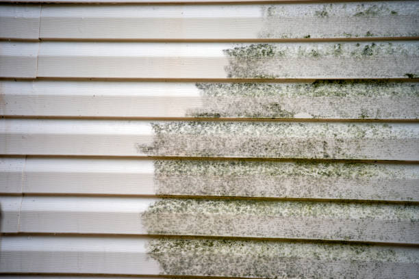 Best Property Management Cleanouts  in West Pittston, PA
